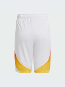 Шорты Adidas модель IP8138 Фото