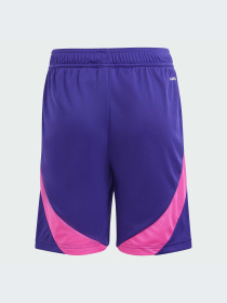 Шорты Adidas модель IP8162 Фото