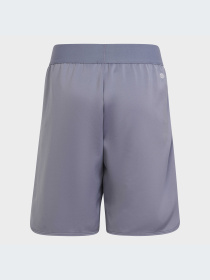 Шорты Adidas модель IC5398 Фото