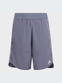 Шорты Adidas модель IC5398 Фото