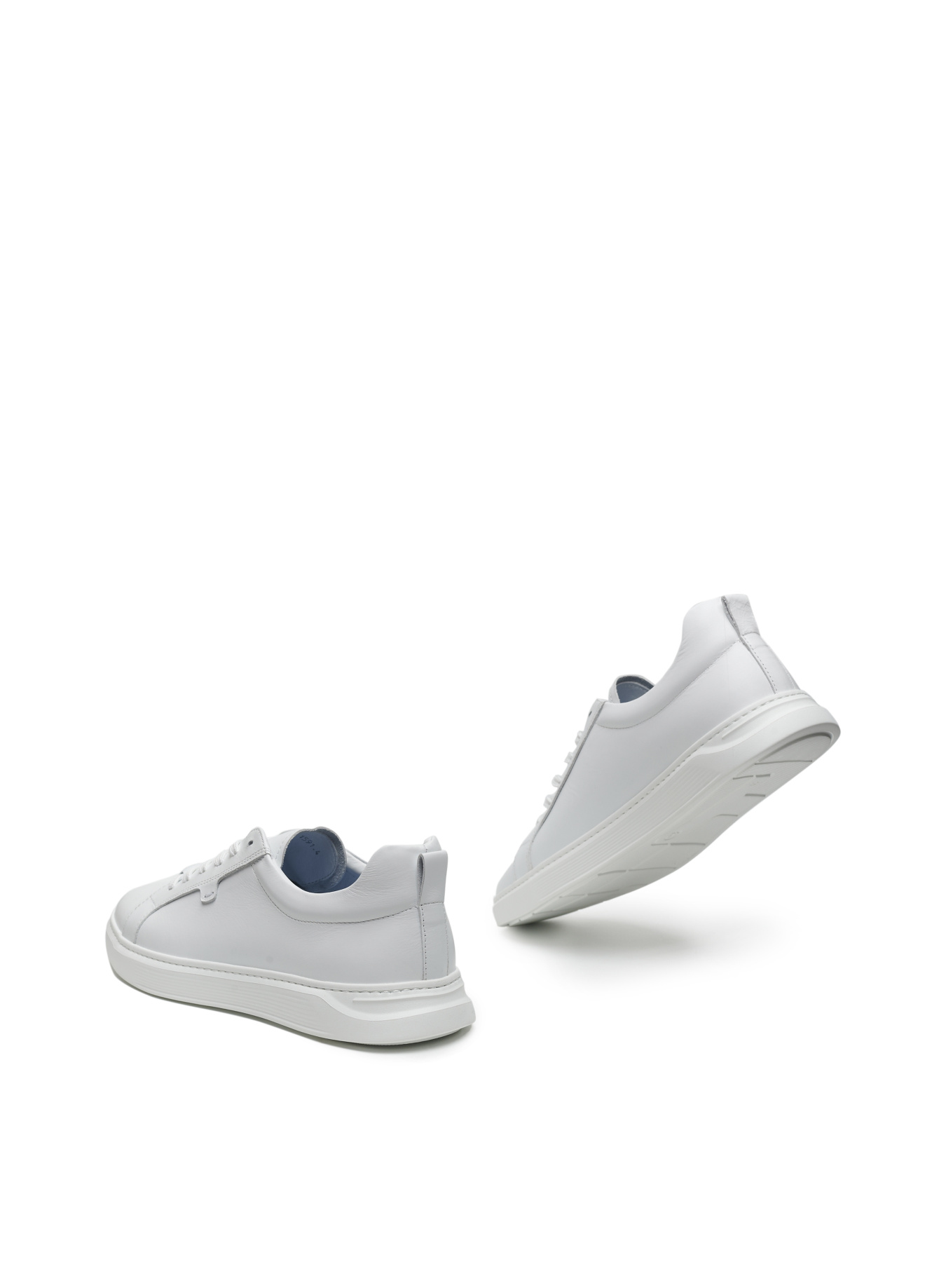 Кеди Alex Bell модель 1171569 Кеди Alex Bell модель 1171569 Фото