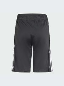 Шорты Adidas Adicolor модель IT5463 Фото