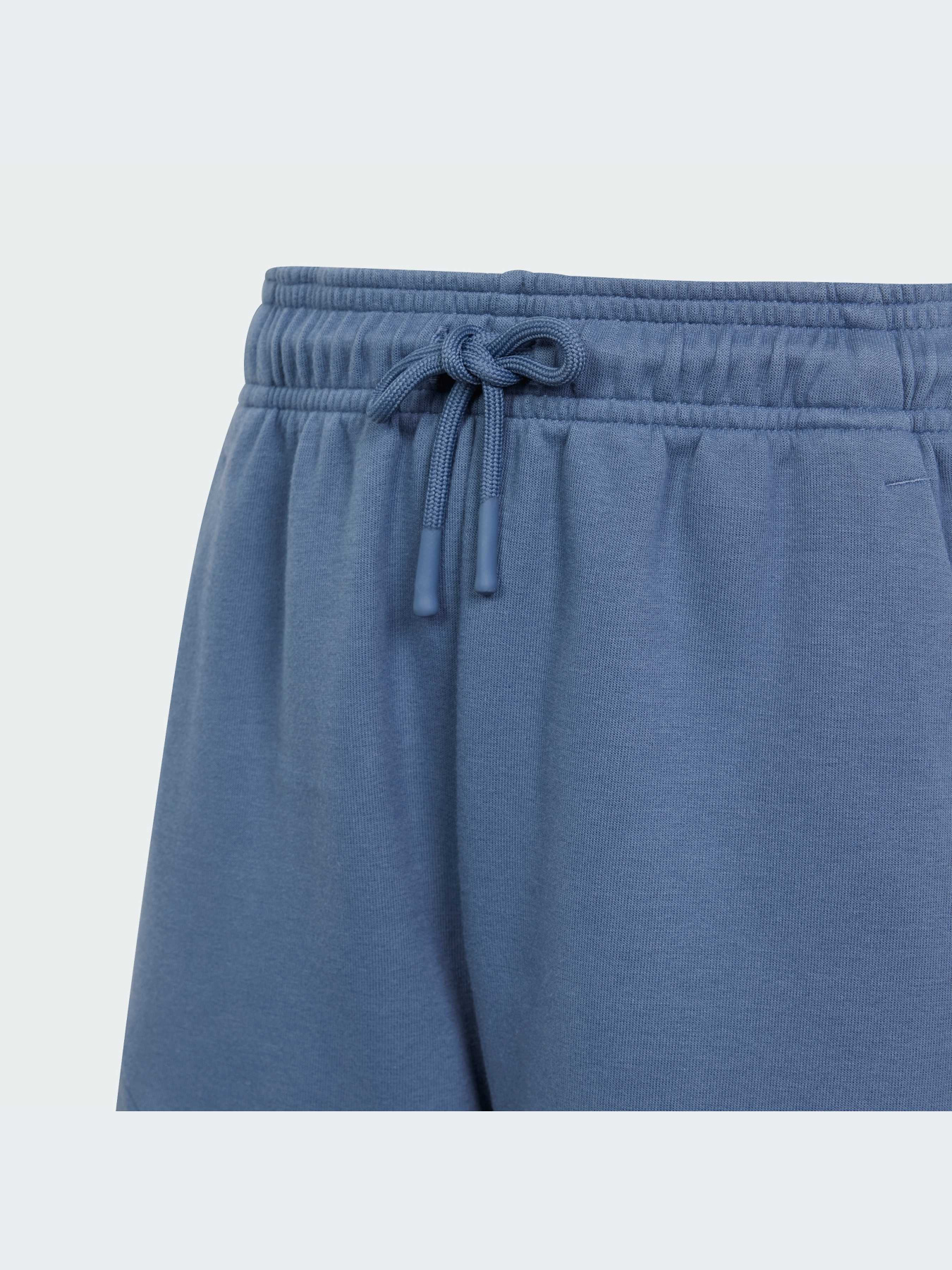 Шорти Adidas модель IS4418 Фото