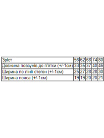 Одяг для немовлят Носи своє модель 5034-024-4-kosmo-dno Фото