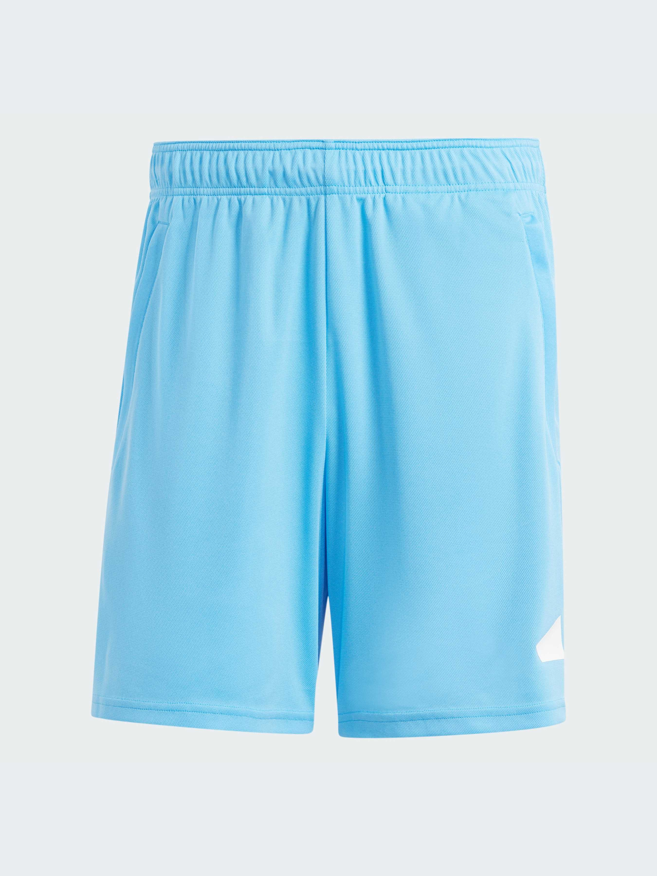 Шорты Adidas модель IT5421 Шорты Adidas модель IT5421 Фото