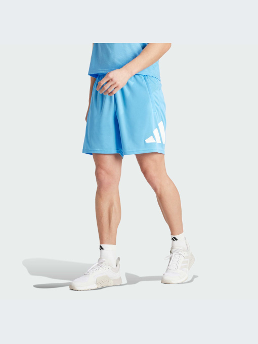 Шорты Adidas модель IT5421 Фото