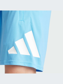 Шорты Adidas модель IT5421 Фото
