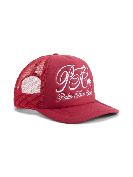 Шапки и кепки PUMA x Ptc Trucker модель 025178 Фото