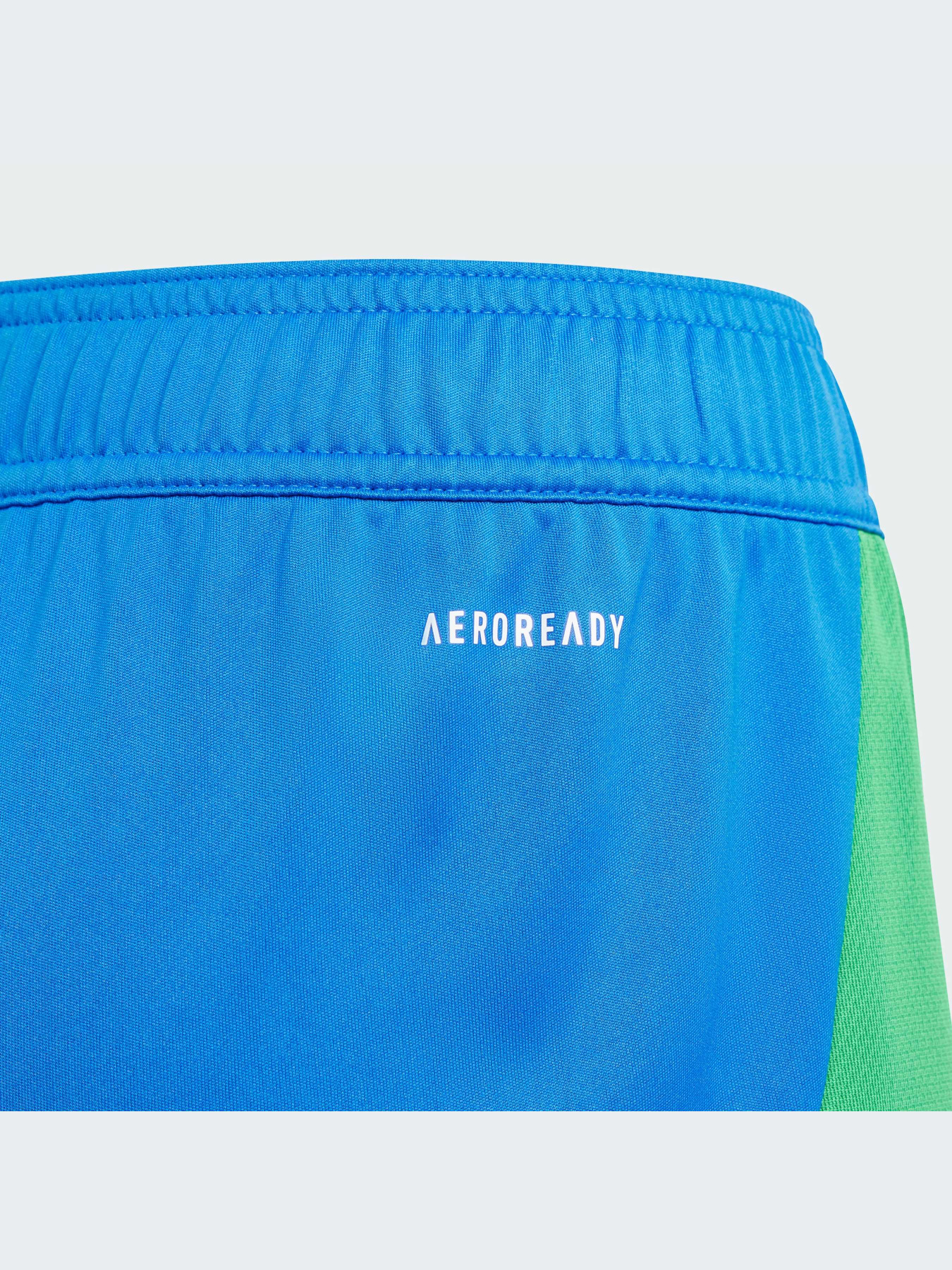 Шорты Adidas модель IQ0483 Шорты Adidas модель IQ0483 Фото