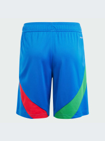 Шорты Adidas модель IQ0483 Фото
