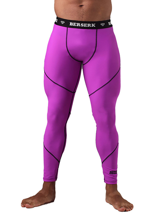 Брюки Berserk Sport Dynamic модель DynamicVioletPNTM Фото