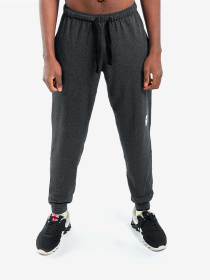 Брюки Berserk Sport Premium модель PremiumwithoutfleeceDarkGrayPNTM Фото