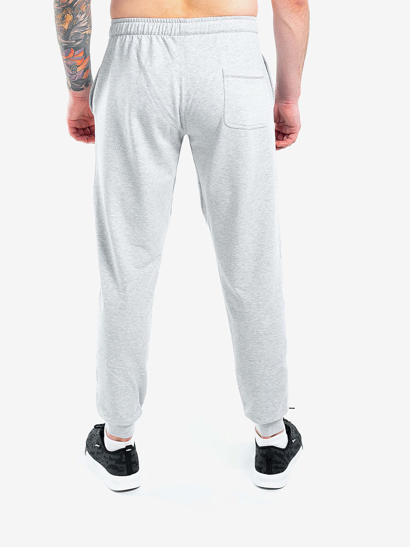 Брюки Berserk Sport модель PremiumwithoutfleeceGrayPNTM Брюки Berserk Sport модель PremiumwithoutfleeceGrayPNTM Фото