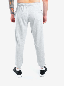Брюки Berserk Sport модель PremiumwithoutfleeceGrayPNTM Фото