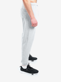 Брюки Berserk Sport модель PremiumwithoutfleeceGrayPNTM Фото