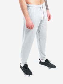 Брюки Berserk Sport модель PremiumwithoutfleeceGrayPNTM Фото