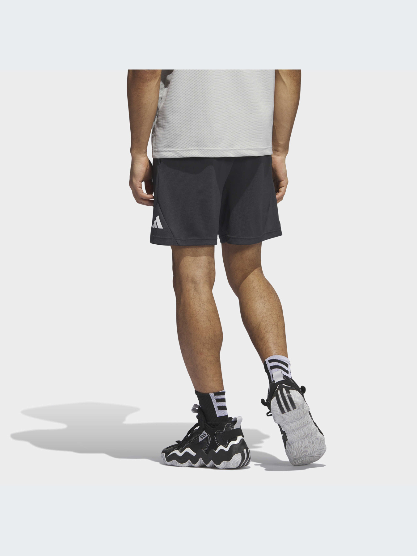 Шорты Adidas модель IL2257 Шорты Adidas модель IL2257 Фото
