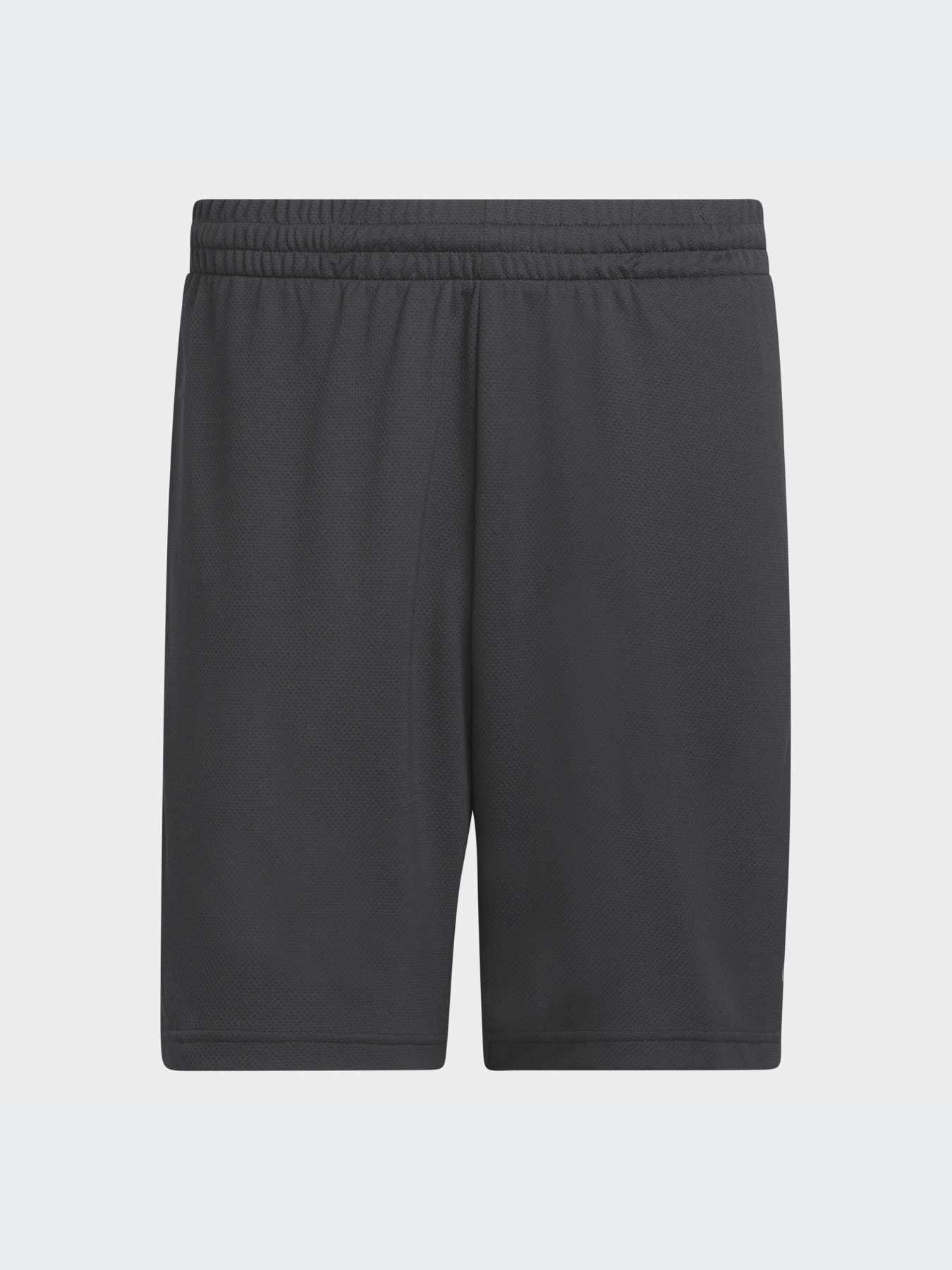 Шорты Adidas модель IL2257 Шорты Adidas модель IL2257 Фото
