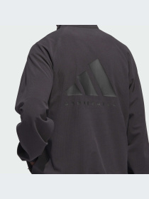 Худи и свитшоты Adidas модель IT2471 Фото