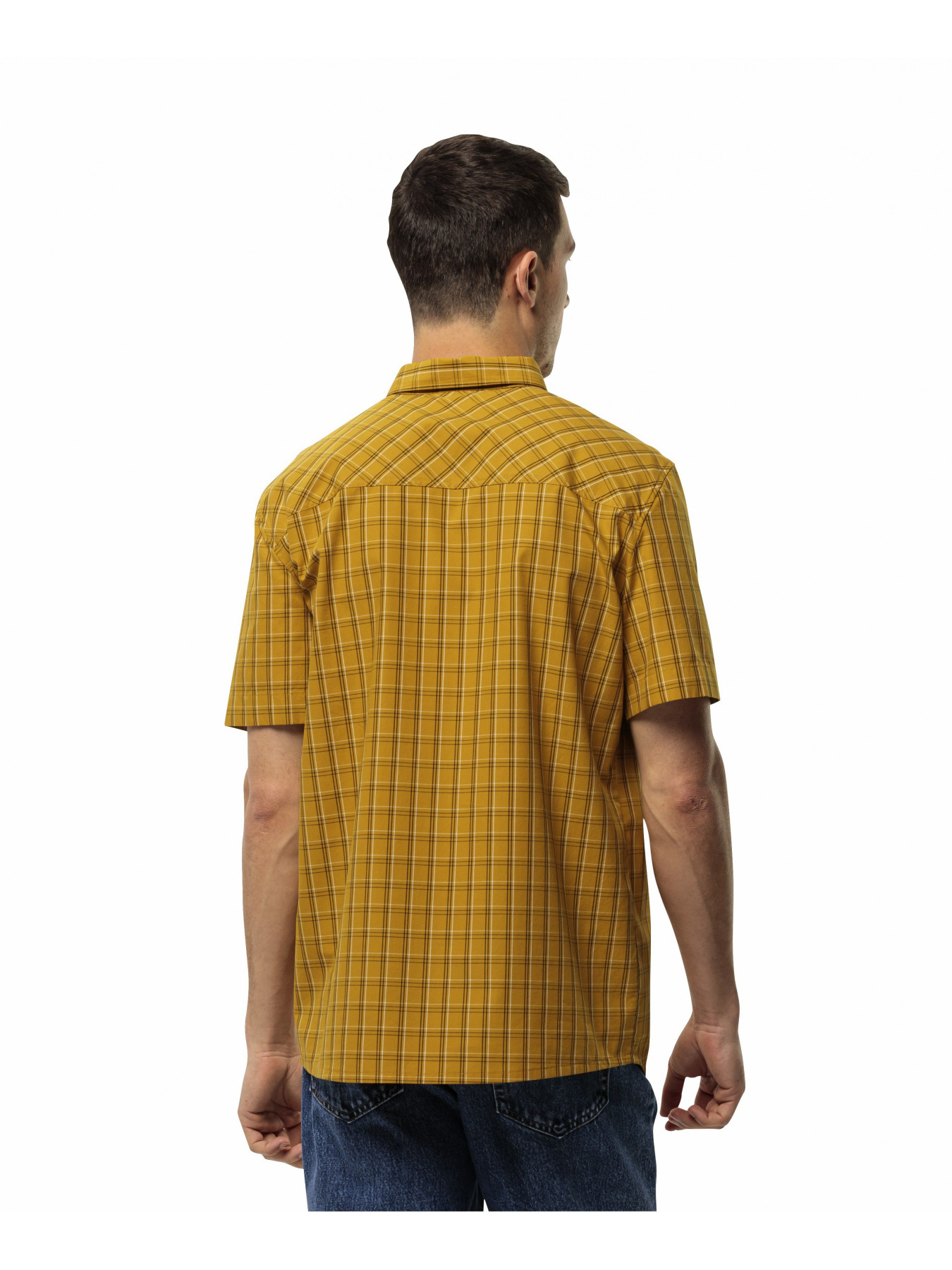Сорочки Jack Wolfskin Hot springs shirt m модель 1402333_8974 Сорочки Jack Wolfskin Hot springs shirt m модель 1402333_8974 Фото