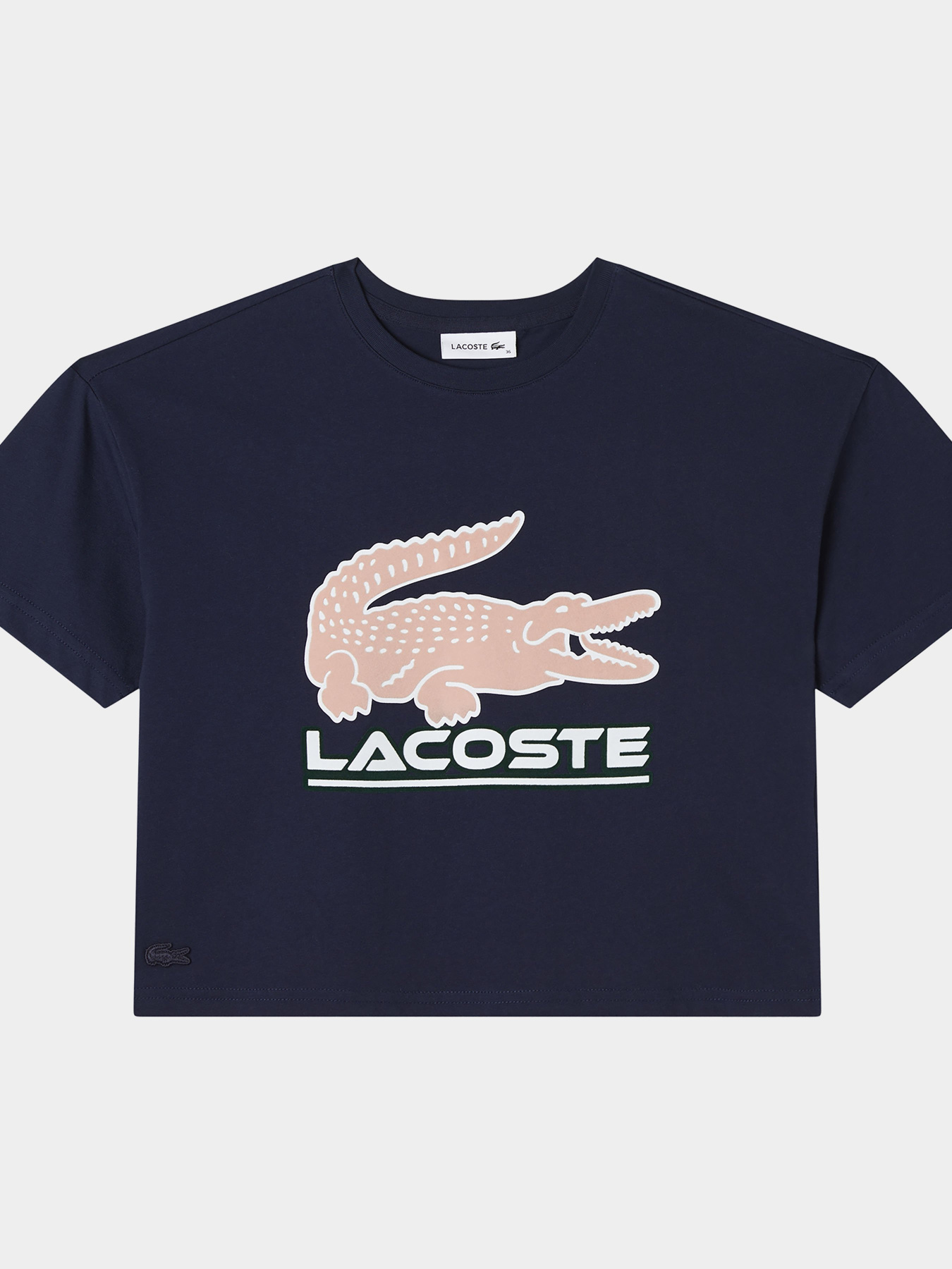 Футболки и поло Lacoste модель TF240404L Фото
