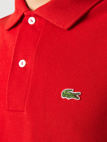 Худи и свитшоты Lacoste модель L1321240 Фото