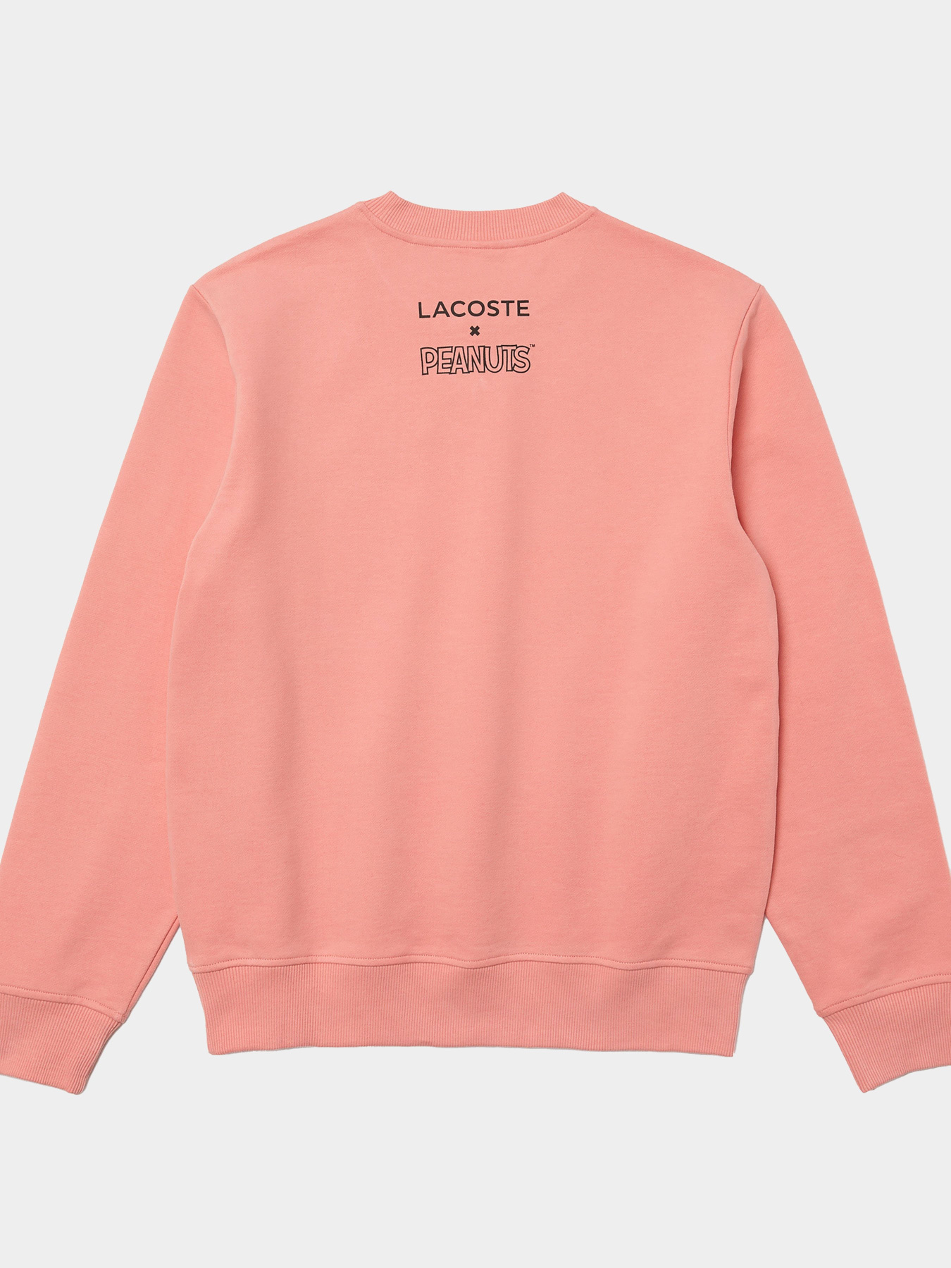 Худі та світшоти Lacoste модель SH77655MM Фото