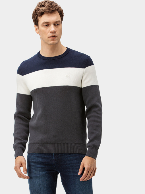 Светри та кардигани Lacoste модель AH2041R41G Фото