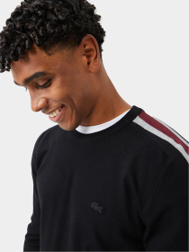 Светри та кардигани Lacoste модель AH230303S Фото