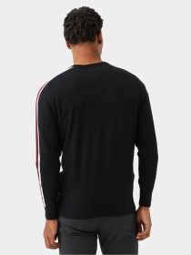 Светри та кардигани Lacoste модель AH230303S Фото