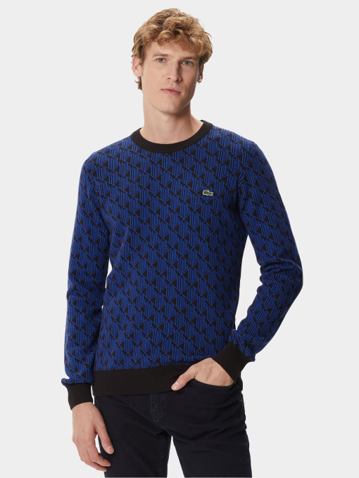 Светри та кардигани Lacoste модель AH241313S Фото