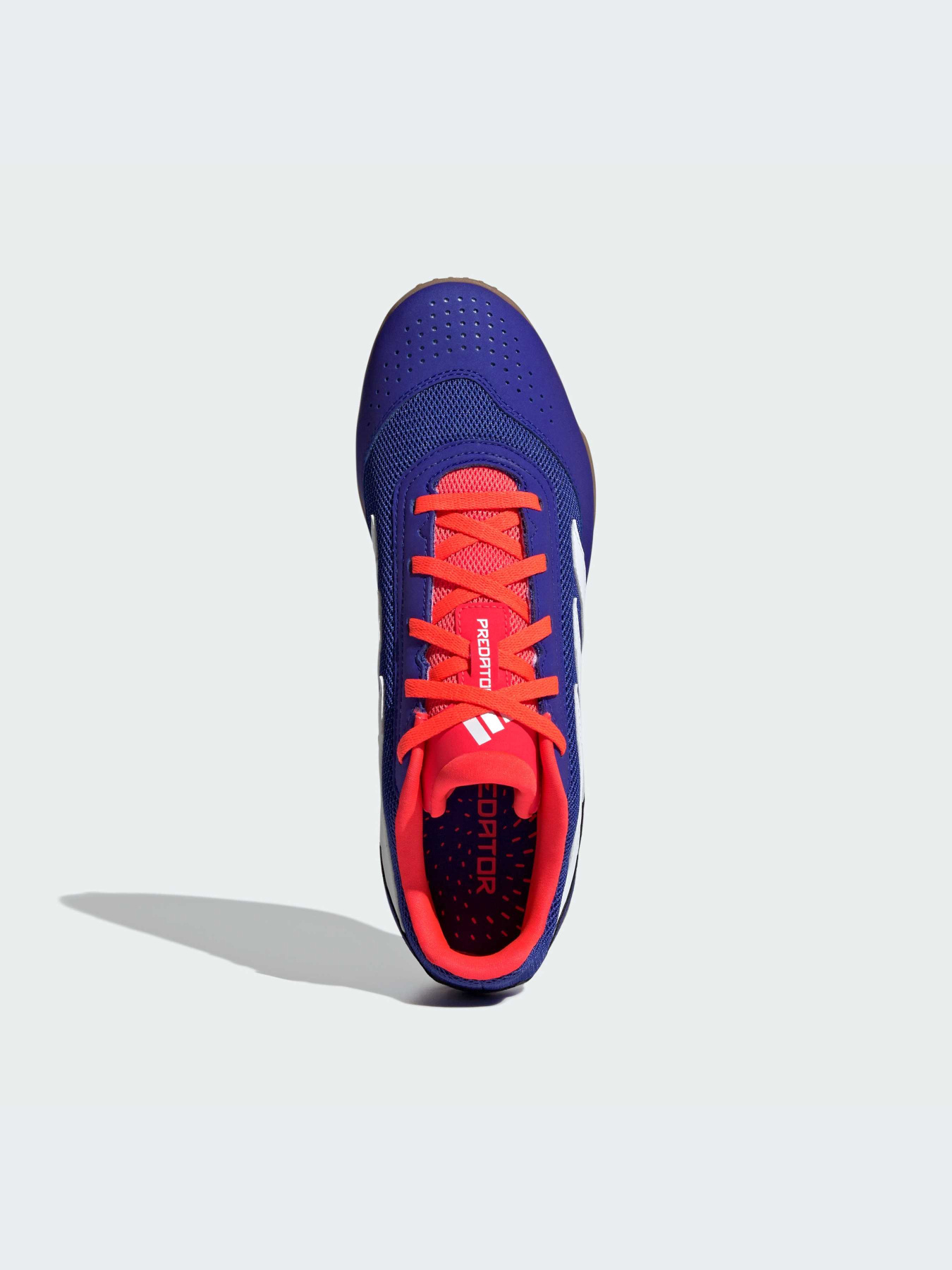 Кросівки Adidas Predator модель IF6403 Фото