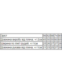 Одежда для младенцев Носи своє модель 5058-036-33-elektrik Фото