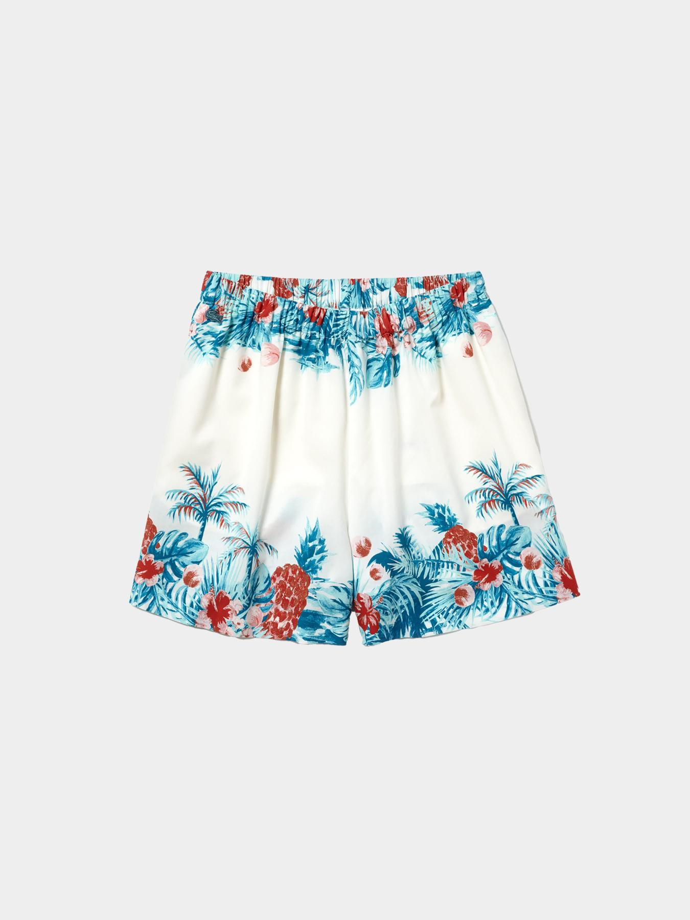 Шорты Lacoste модель FF4214001 Фото