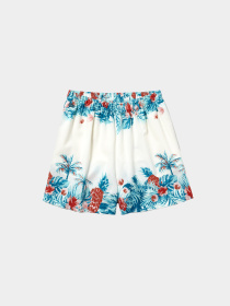 Шорты Lacoste модель FF4214001 Фото