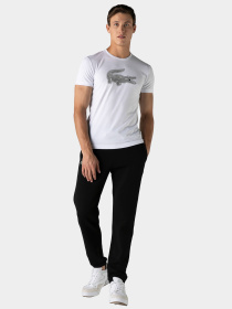 Штани Lacoste модель XH7611031 Фото