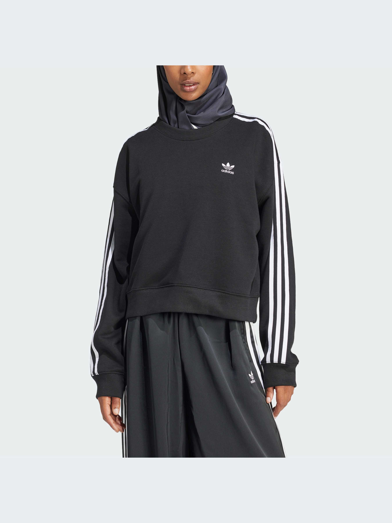 Худи и свитшоты Adidas Adicolor модель IR5522 Фото