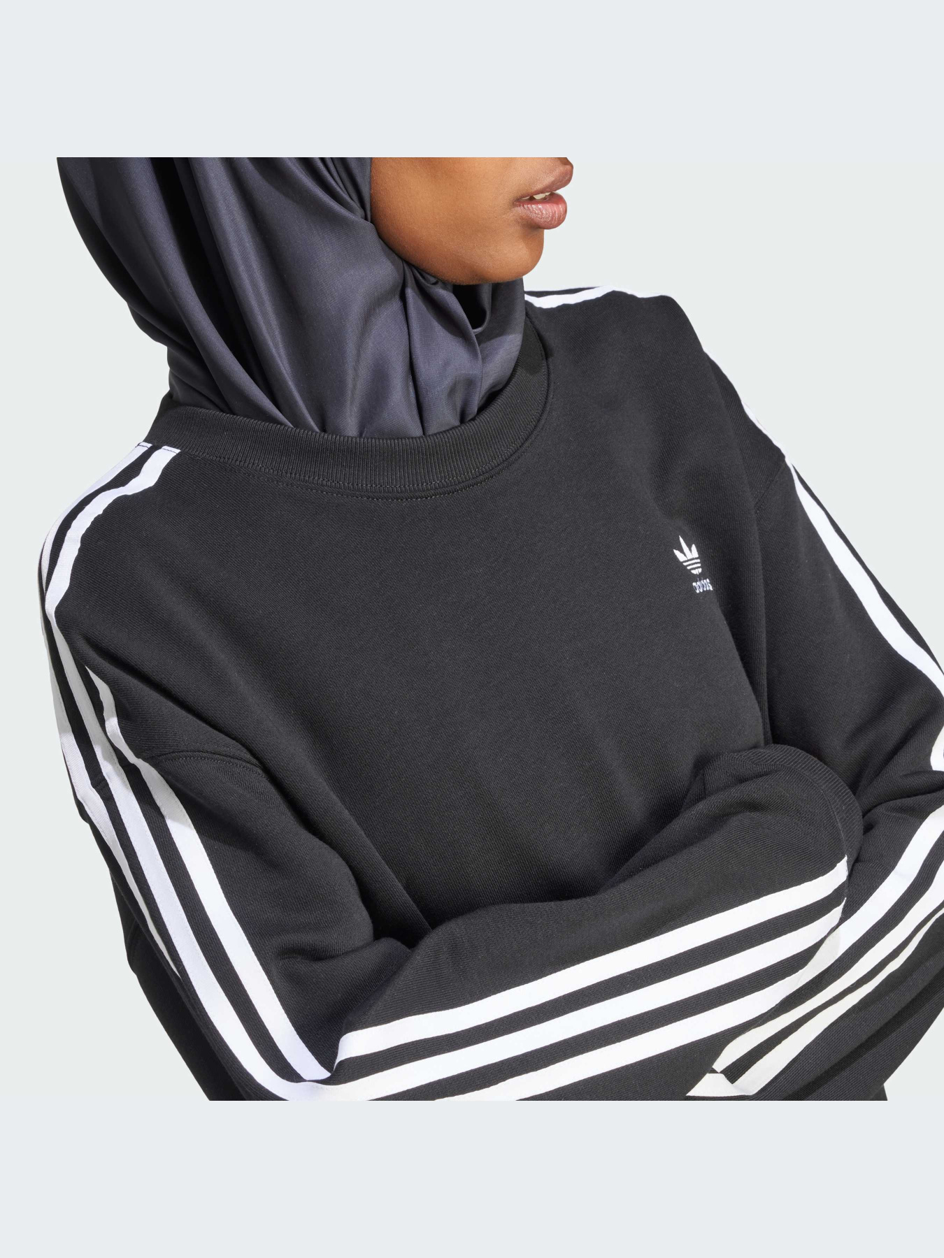 Худи и свитшоты Adidas Adicolor модель IR5522 Фото