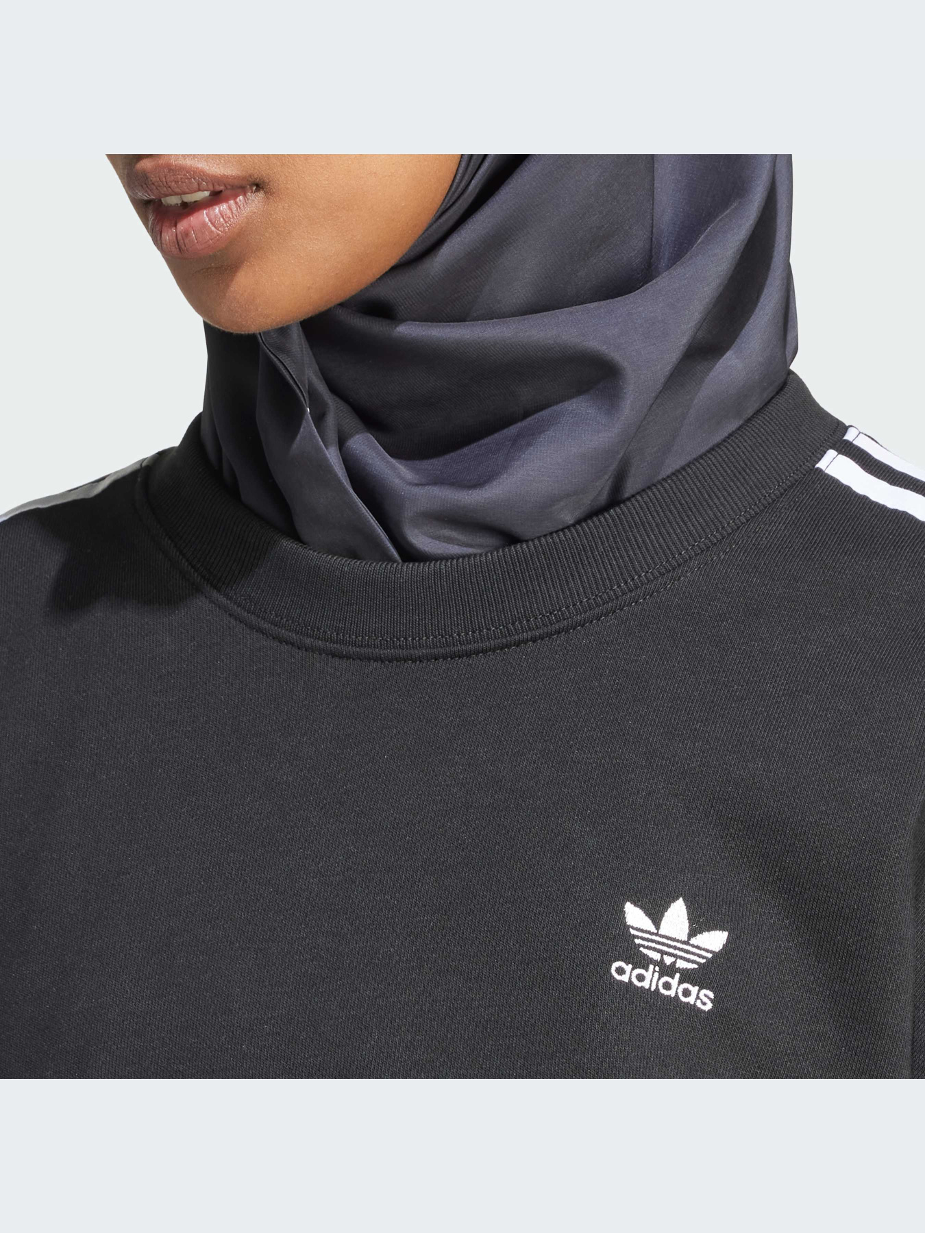 Худи и свитшоты Adidas Adicolor модель IR5522 Фото