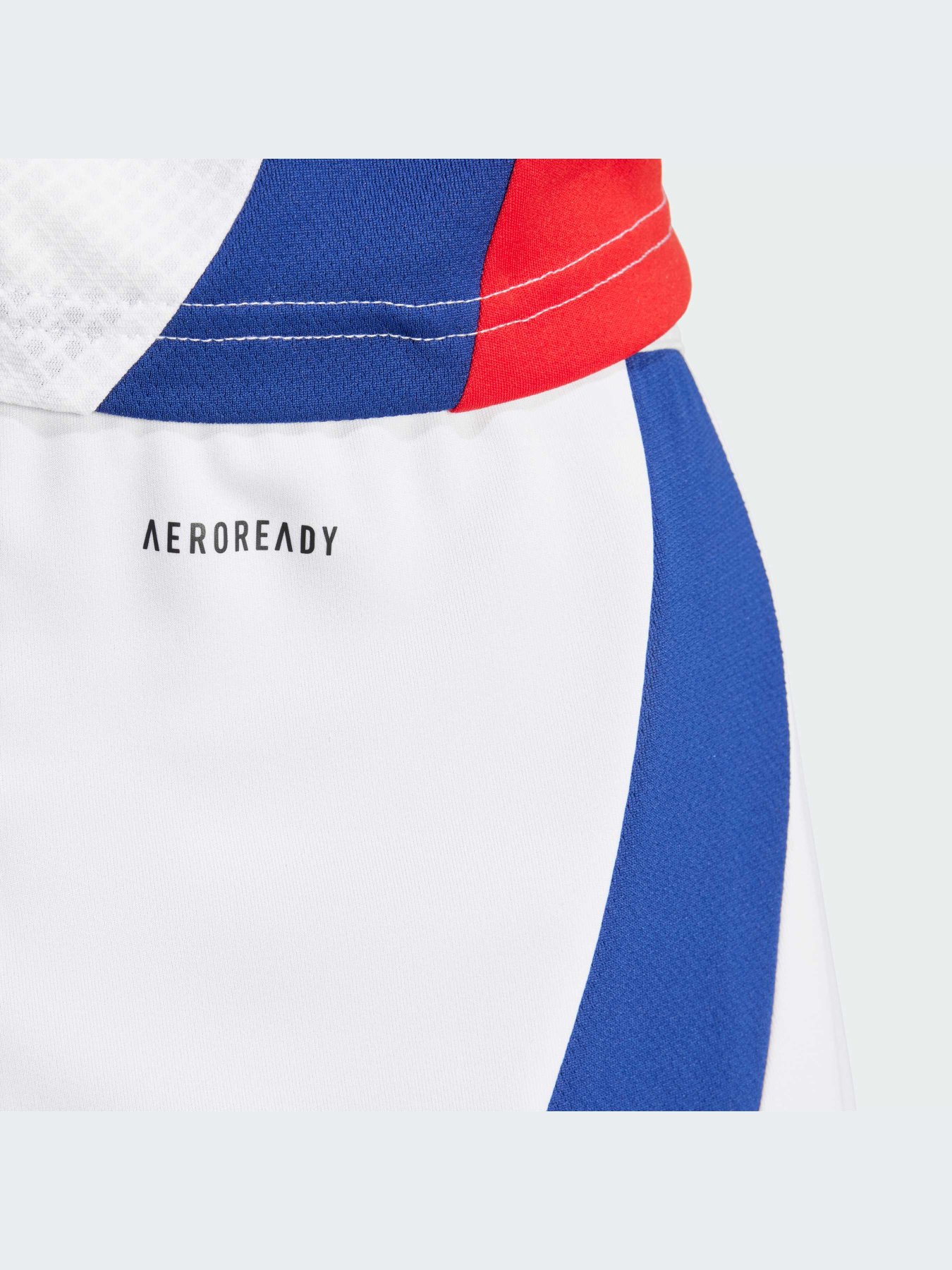 Шорты Adidas модель IT6139 Шорты Adidas модель IT6139 Фото