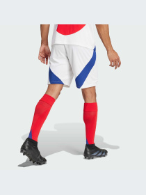 Шорты Adidas модель IT6139 Фото