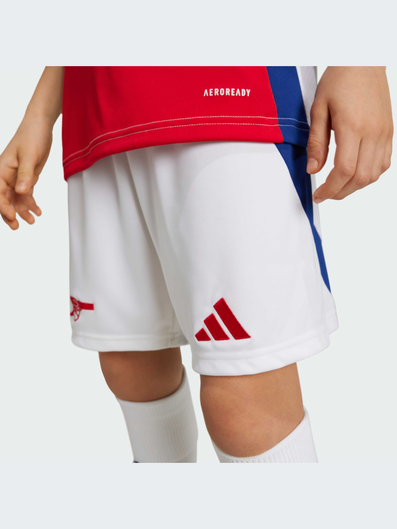 Шорты Adidas модель IS8136 Фото