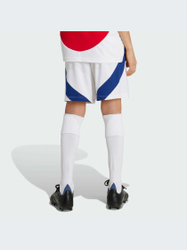 Шорты Adidas модель IS8136 Фото