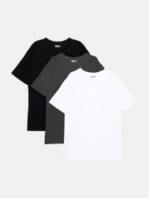 Футболки и поло Bezlad модель nabir-futbolok-bezlad-set-t-shirt-basic-bgw Фото