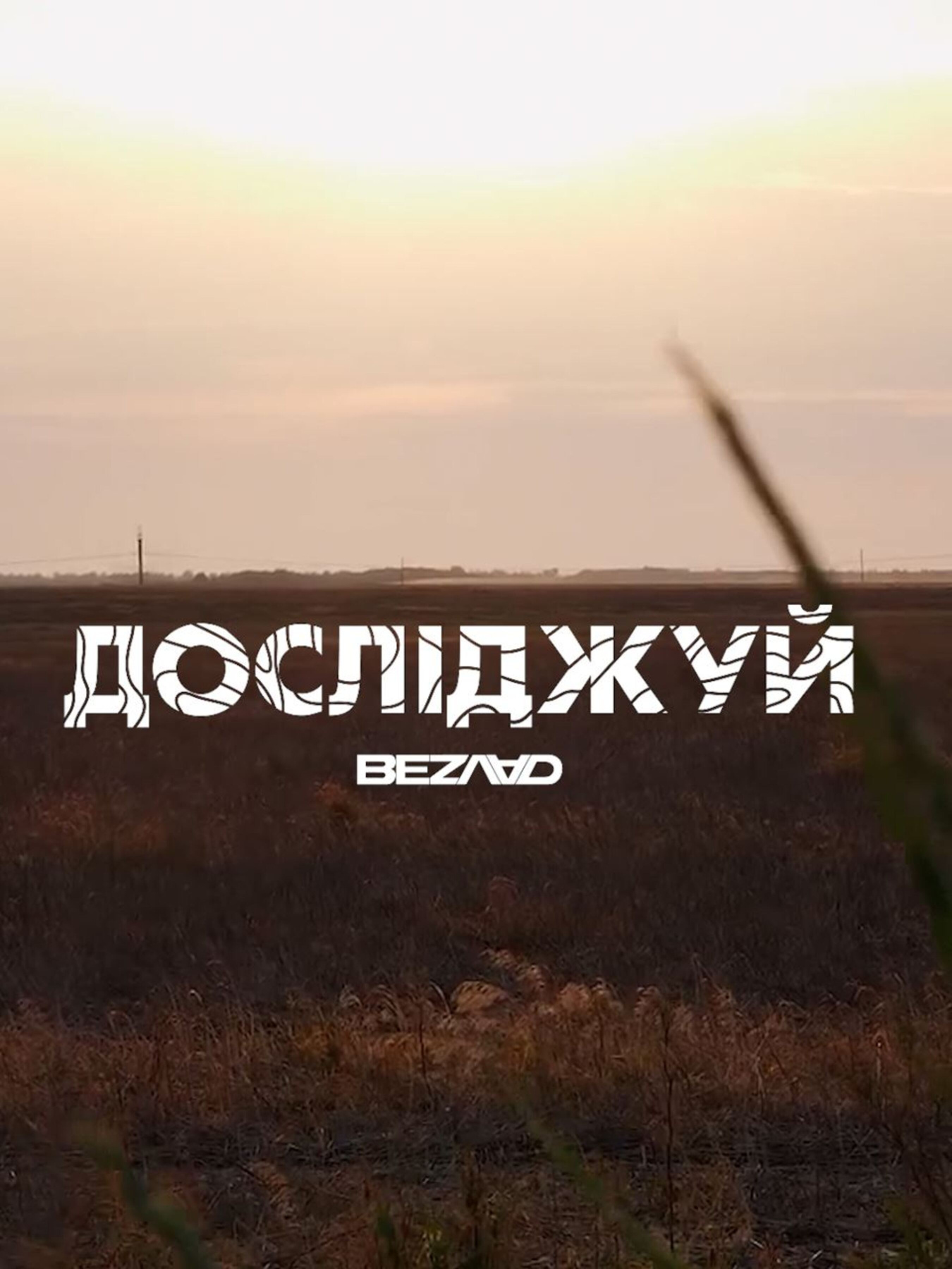 Футболки і поло Bezlad Таврія модель futbolka-doslidzhuy-tavriya-chorna Фото