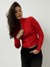 Худи и свитшоты HARVEST Fit crop модель 990484007210530000 Фото