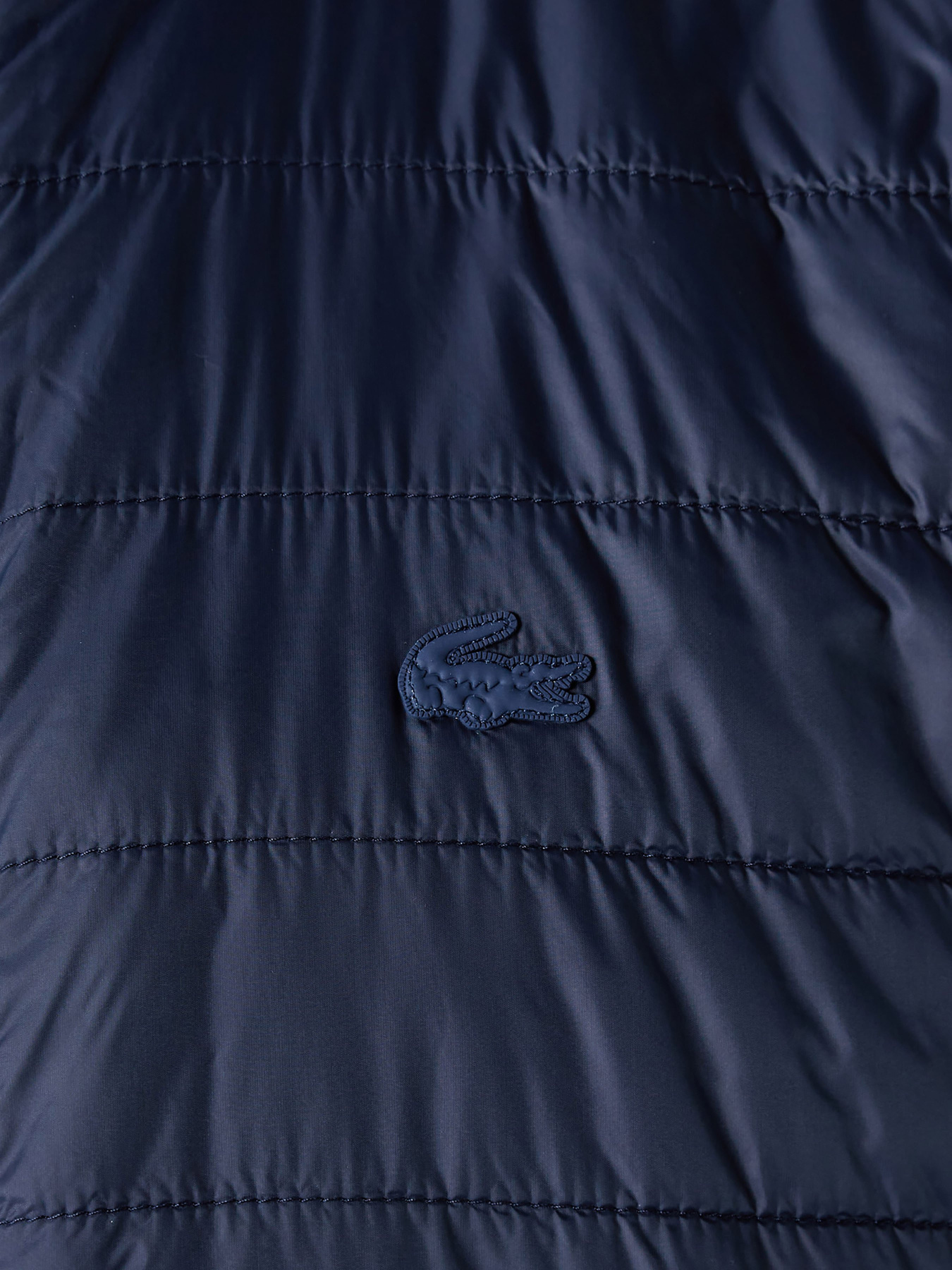 Куртки та дублянки Lacoste модель BH021616L Фото