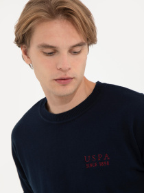 Худі та світшоти US Polo модель G081SZ0TK.000.1507257.VR033 Фото