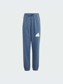 Брюки Adidas Культовые силуэты модель IS4395 Фото