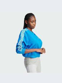 Худі та світшоти Adidas Adicolor модель IR5523 Фото